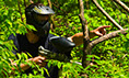 Outdoor Paintball.